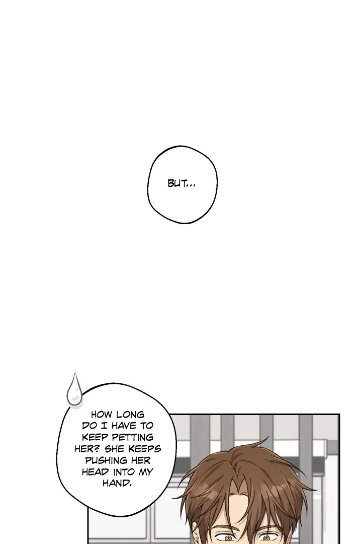 Read Protect your purity! chapter 31 image 33 on Lezhin