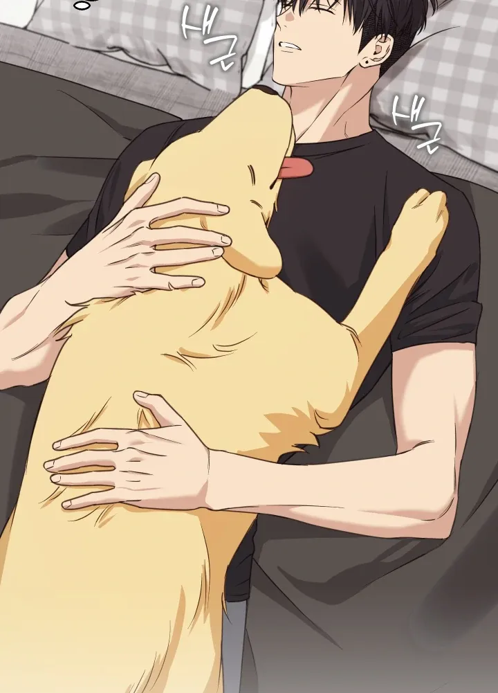 Read Protect your purity! chapter 31 image 45 on Lezhin