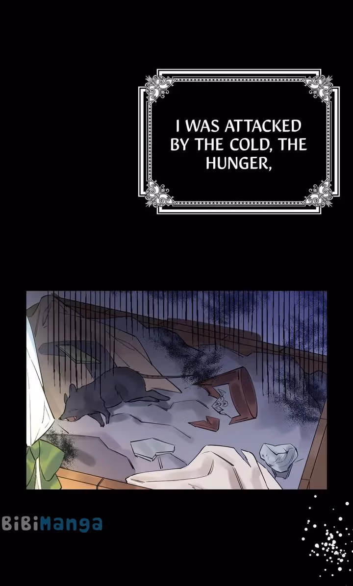 Read Protecting the Witch