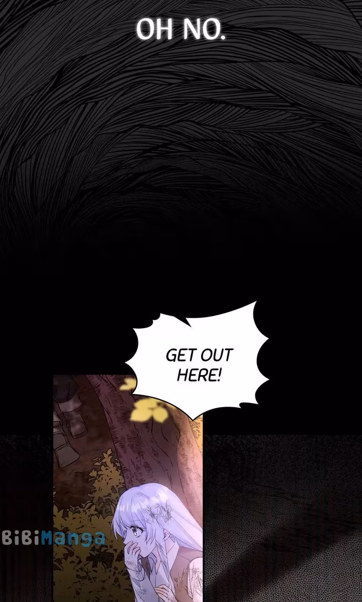 Read Protecting the Witch