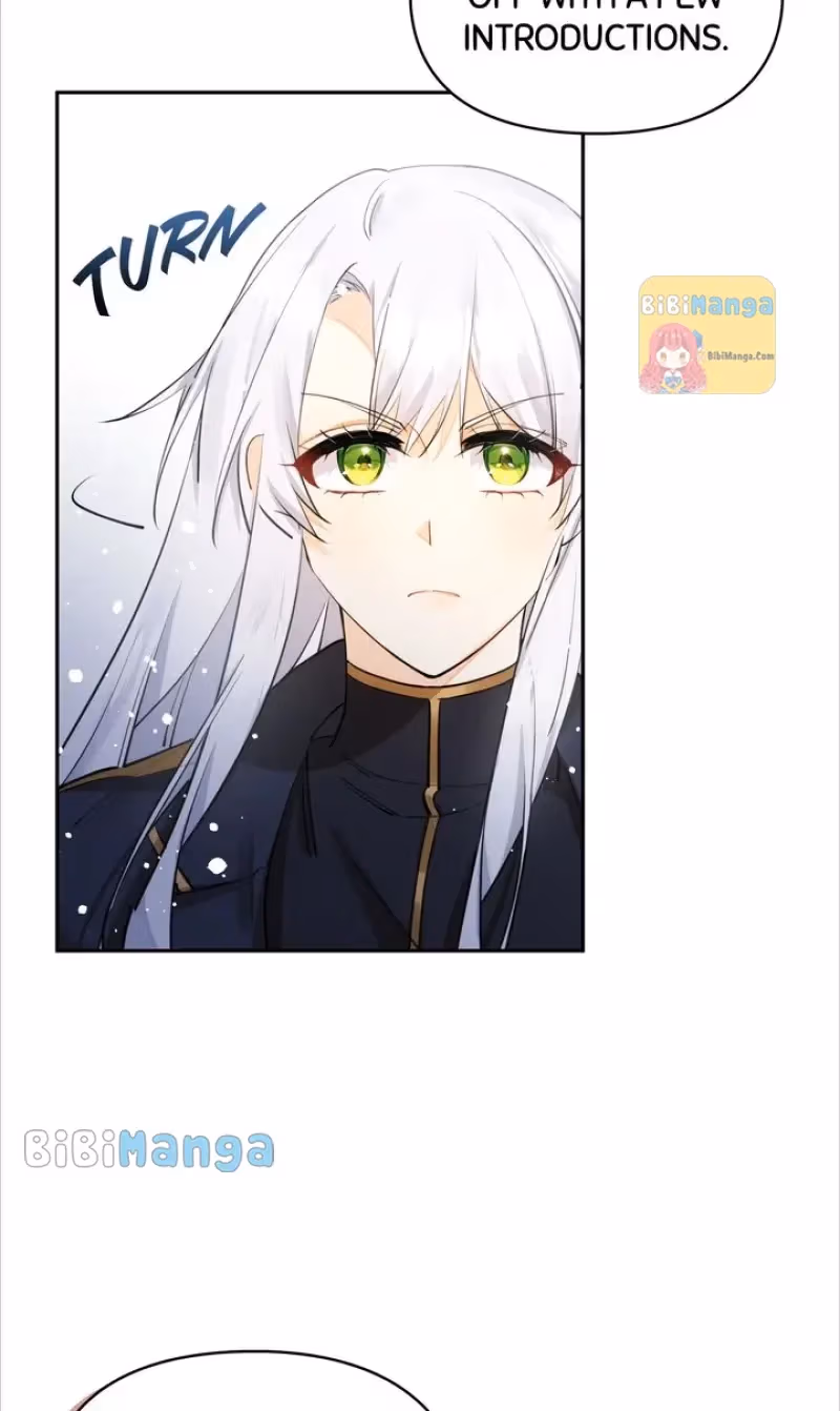 Read Protecting the Witch