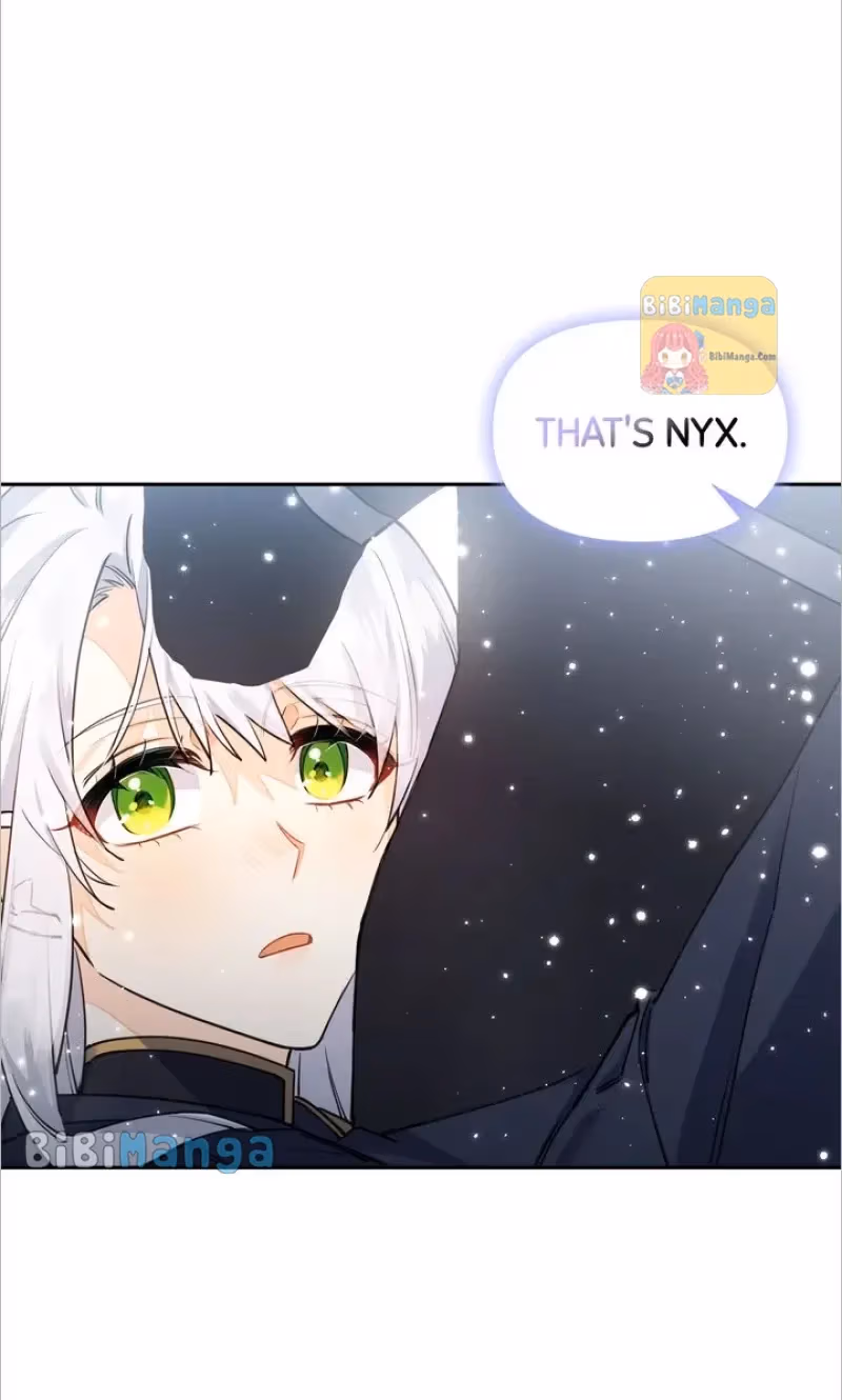 Read Protecting the Witch
