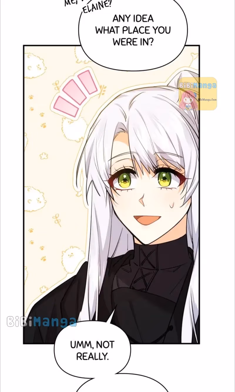Read Protecting the Witch