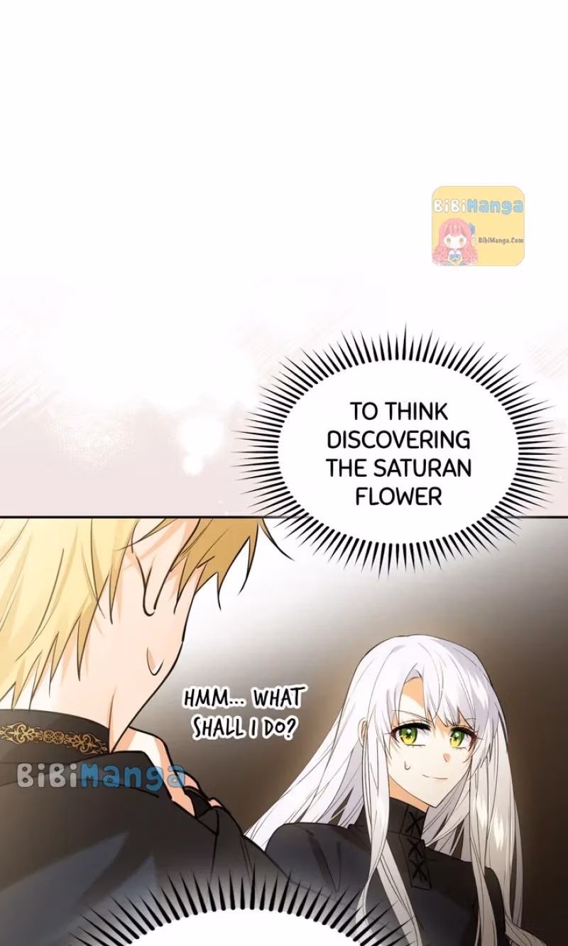 Read Protecting the Witch