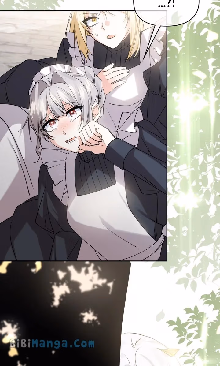 Read Protecting the Witch