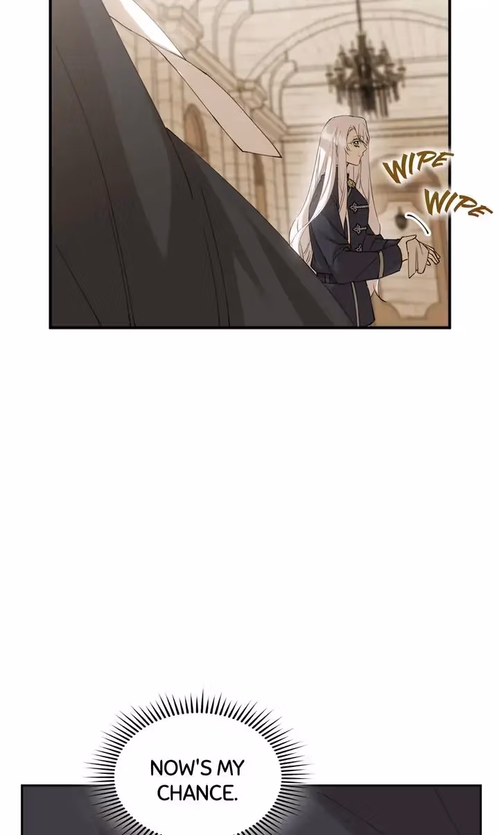 Read Protecting the Witch
