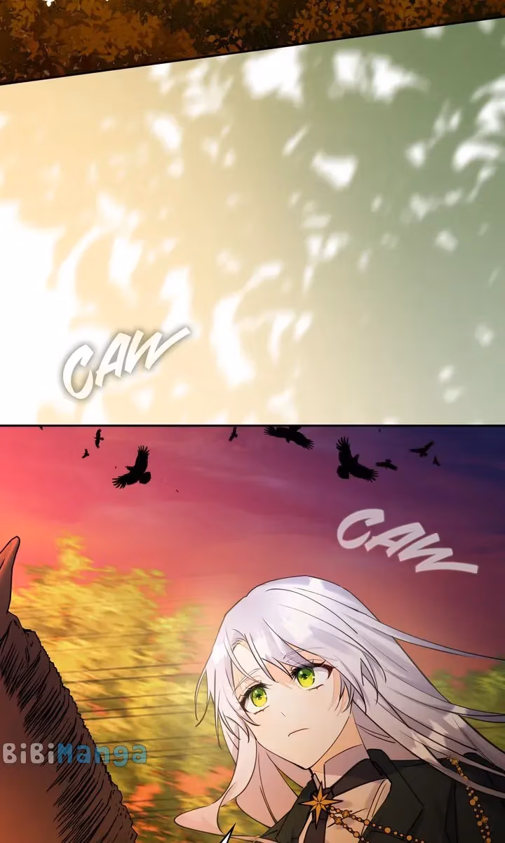 Read Protecting the Witch