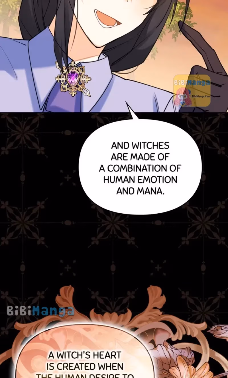Read Protecting the Witch