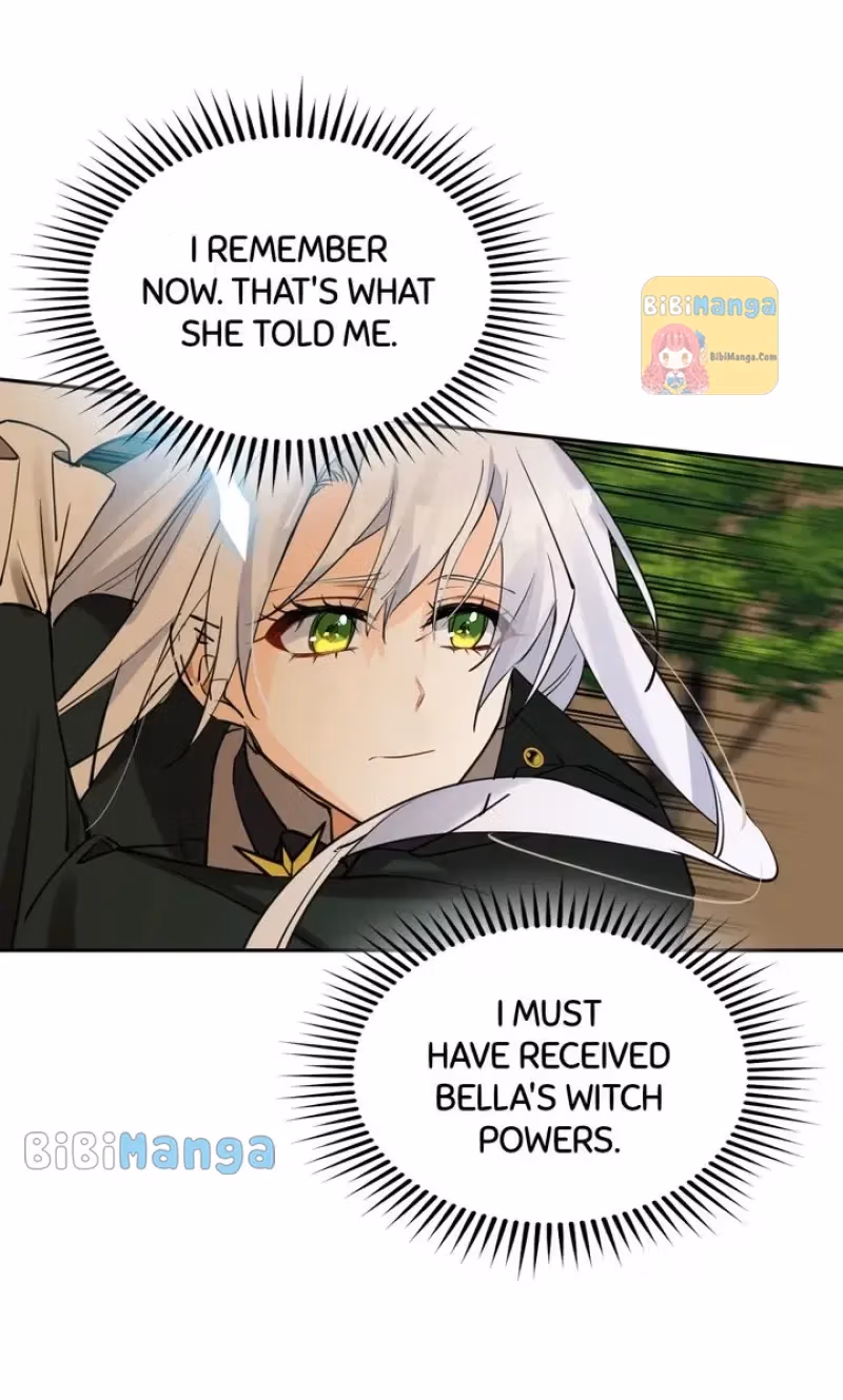 Read Protecting the Witch