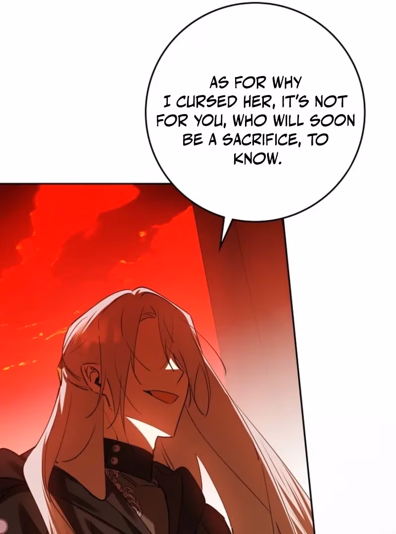 Read Protecting the Witch
