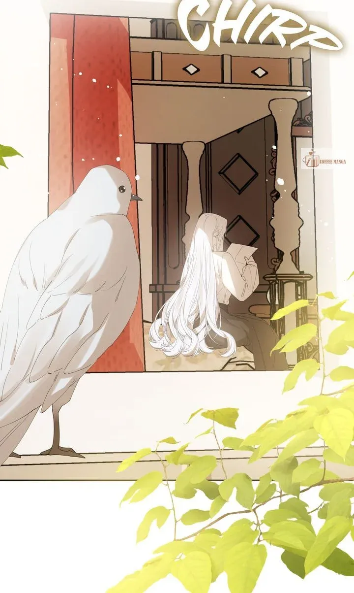 Protecting the Witch’s Son Chapter 47 page 3 - 