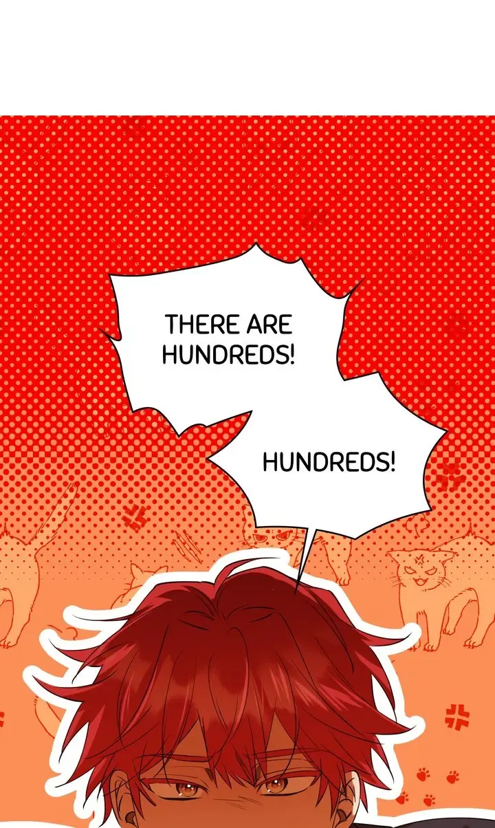 Protecting the Witch’s Son Chapter 65 page 66 - 