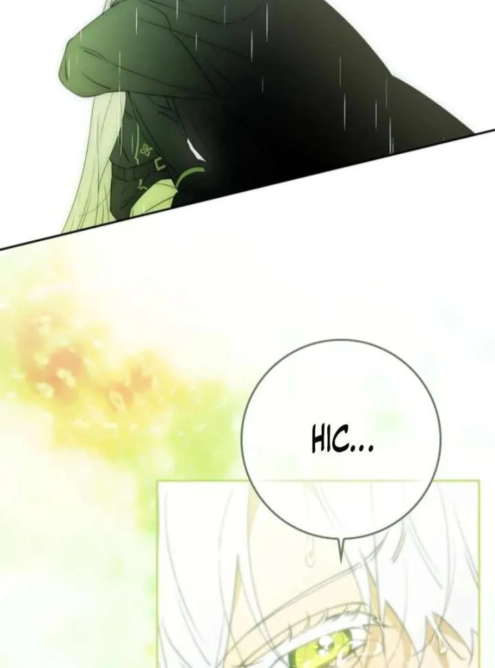 Protecting the Witch’s Son Chapter 87 page 67 - 