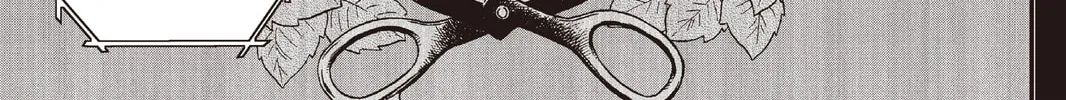 Read Pumpkin Scissors chapter 118 image 81 on Lezhin
