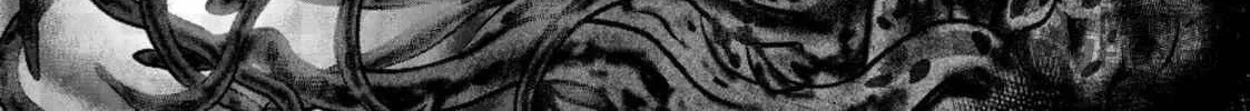 Read Pumpkin Scissors chapter 128 image 11 on Lezhin