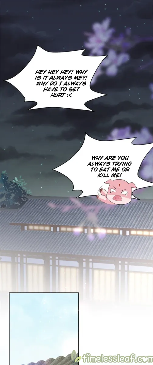 Read Pupillary Master chapter 104 image 12 on Lezhin