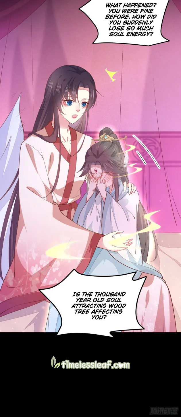 Read Pupillary Master chapter 122 image 4 on Lezhin