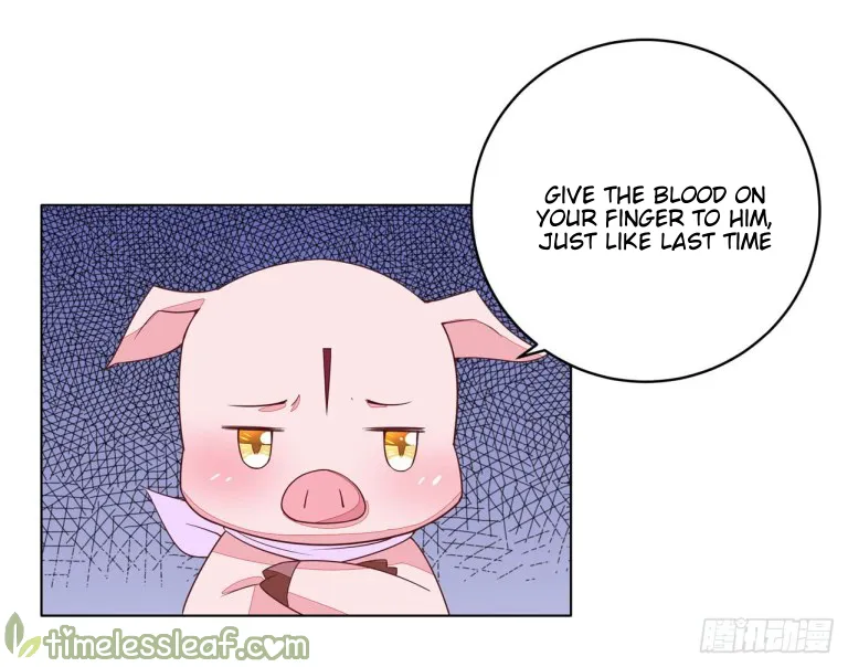 Read Pupillary Master chapter 14.2 image 1 on Lezhin