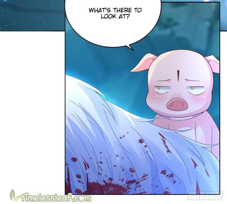 Read Pupillary Master chapter 14 image 12 on Lezhin