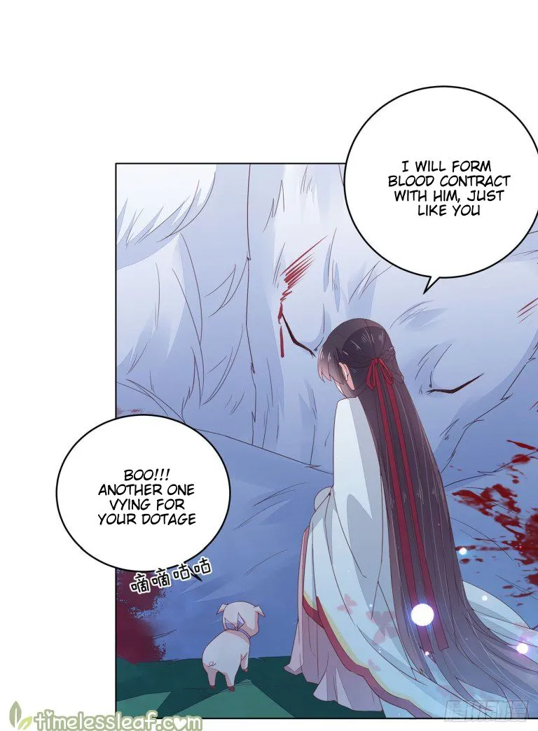 Read Pupillary Master chapter 14 image 19 on Lezhin