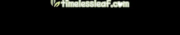 Read Pupillary Master chapter 156.5 image 16 on Lezhin