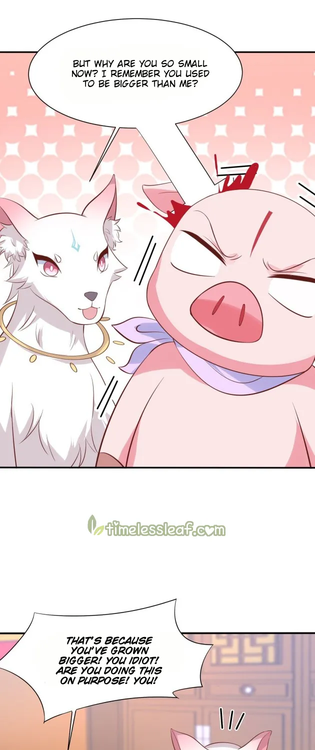 Read Pupillary Master chapter 218 image 10 on Lezhin