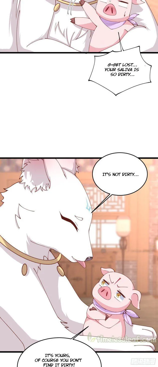 Read Pupillary Master chapter 248 image 2 on Lezhin