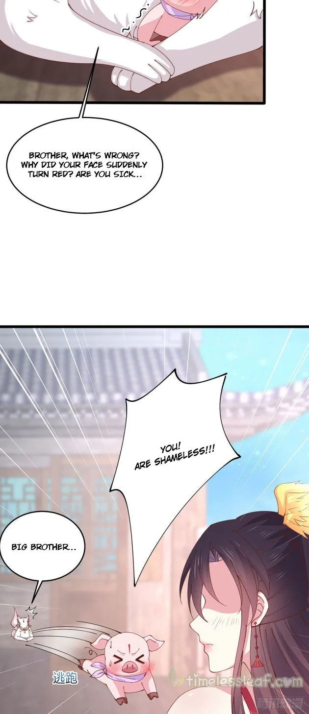 Read Pupillary Master chapter 248 image 4 on Lezhin