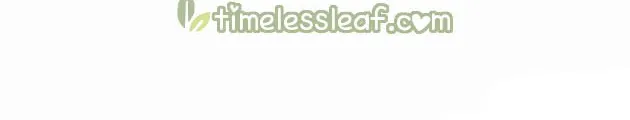 Read Pupillary Master chapter 264.5 image 16 on Lezhin