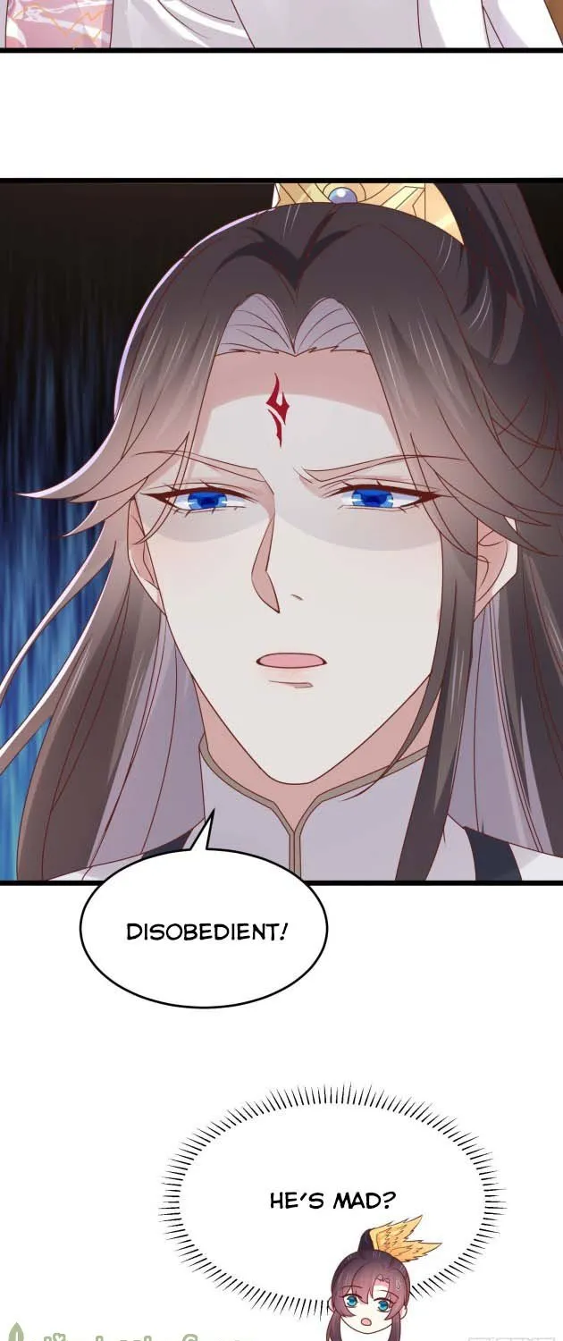 Read Pupillary Master chapter 266 image 12 on Lezhin