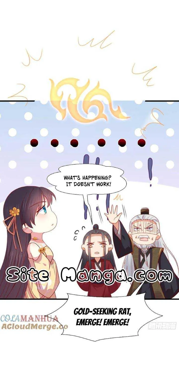 Pupillary Master Chapter 348 page 5 - 