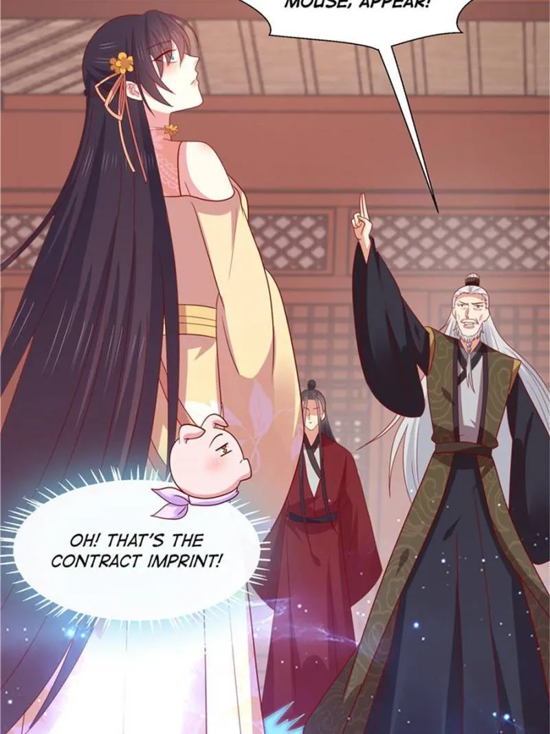 Pupillary Master Chapter 350 page 5 - 