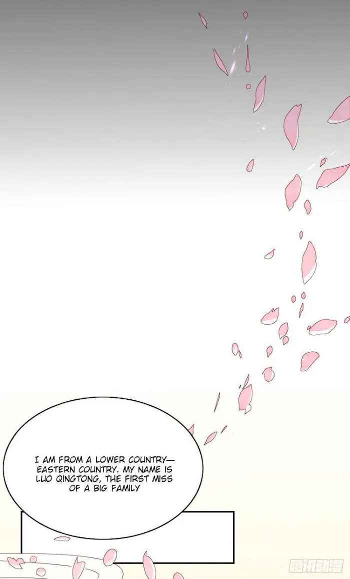 Read Pupillary Master chapter 6 image 3 on Lezhin