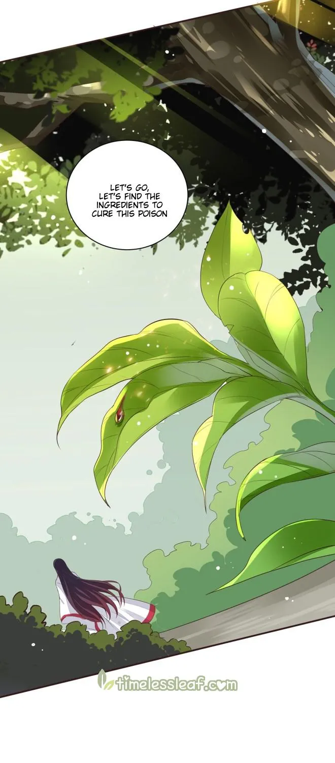 Read Pupillary Master chapter 7 image 31 on Lezhin