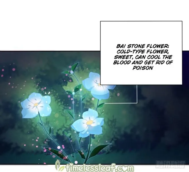 Read Pupillary Master chapter 8 image 1 on Lezhin