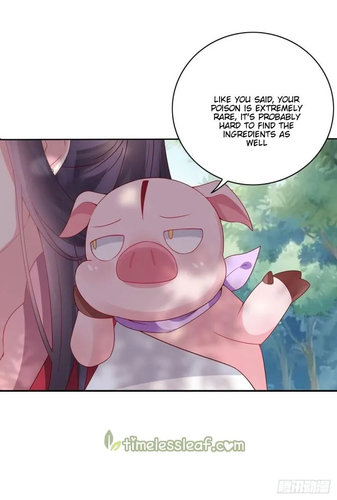 Read Pupillary Master chapter 8 image 5 on Lezhin