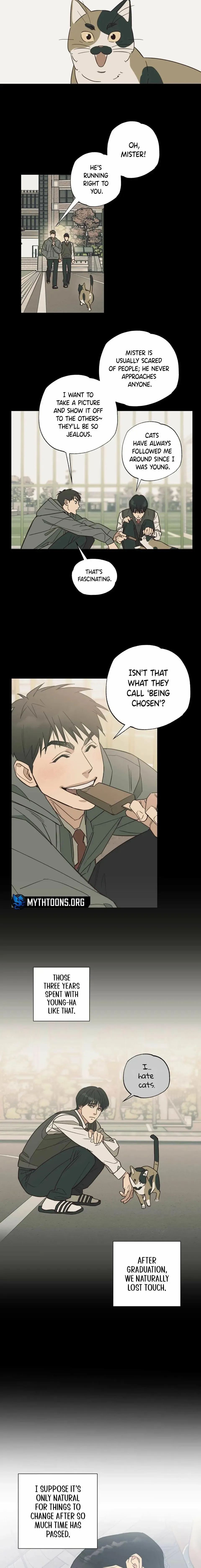Read Purrfect Choice chapter 1 image 3 on Lezhin