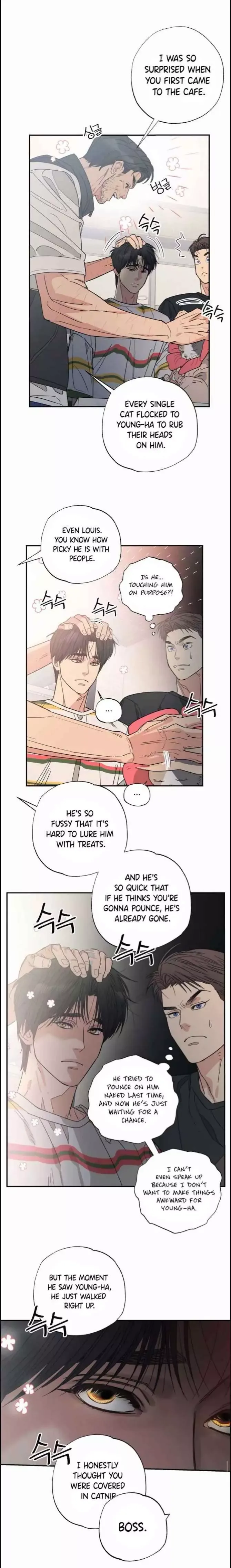 Purrfect Choice Chapter 10 page 3 - 