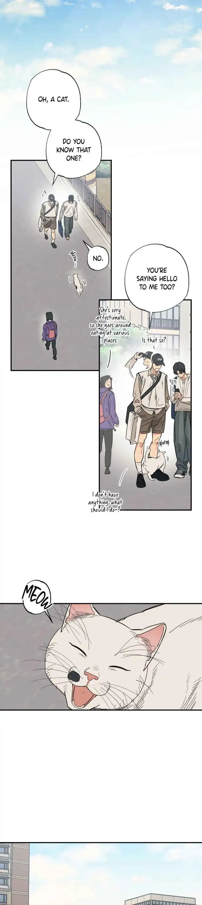Read Purrfect Choice chapter 11 image 17 on Lezhin