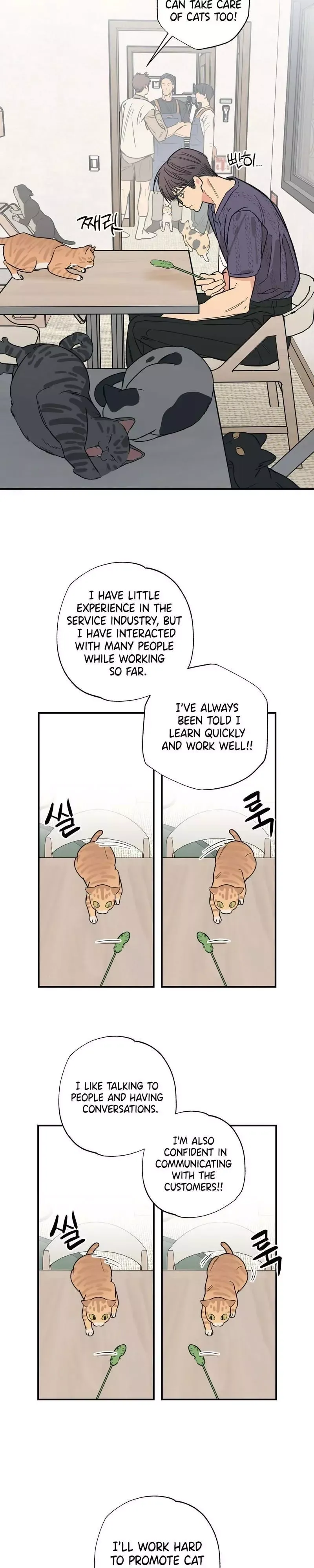 Read Purrfect Choice chapter 12 image 12 on Lezhin