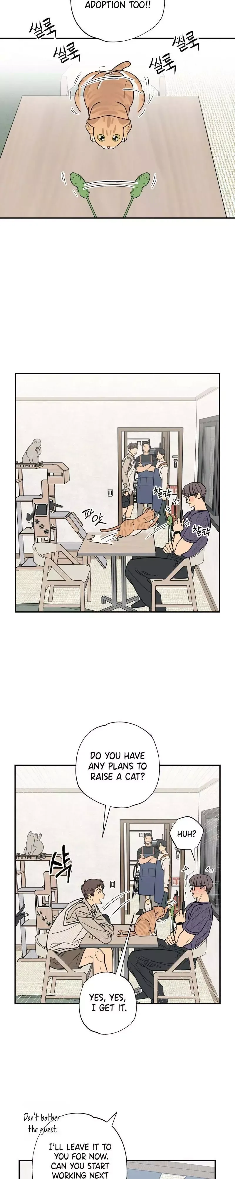 Read Purrfect Choice chapter 12 image 13 on Lezhin