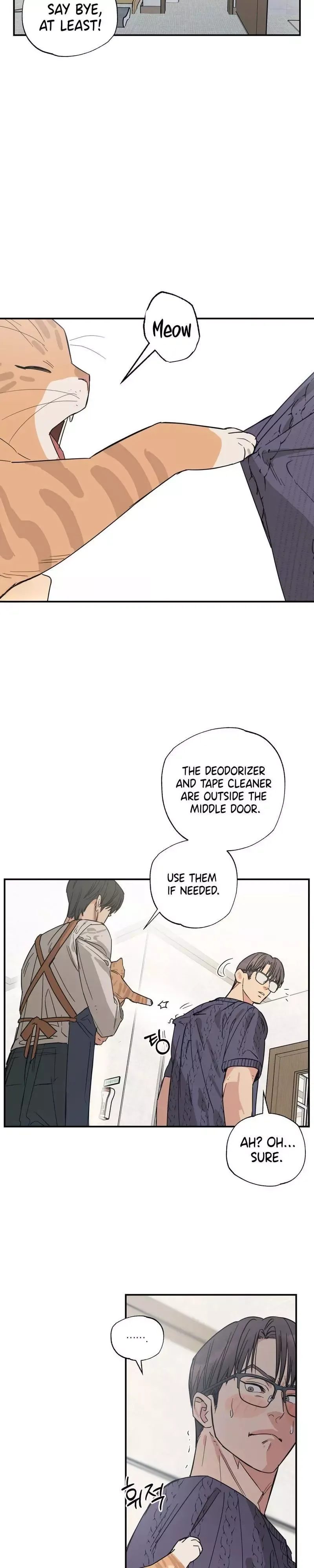 Read Purrfect Choice chapter 12 image 19 on Lezhin