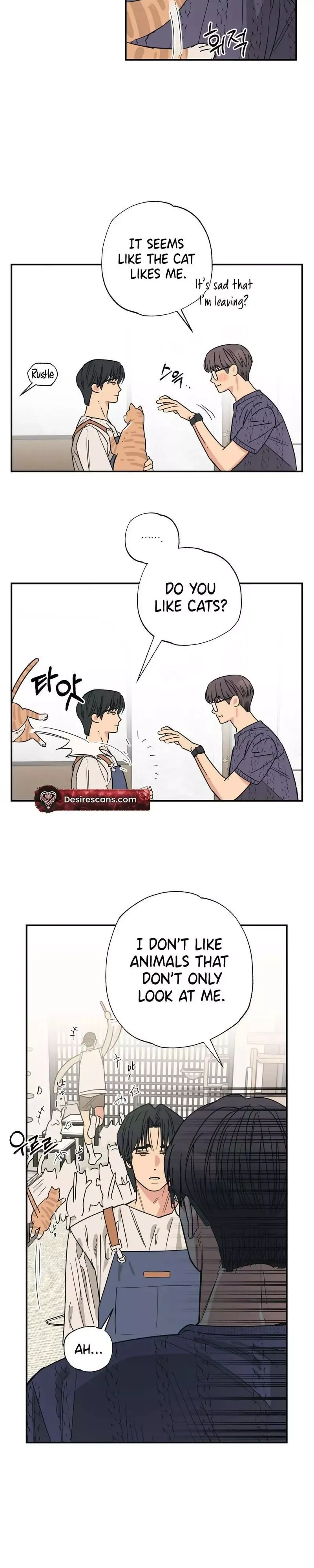 Read Purrfect Choice chapter 12 image 20 on Lezhin