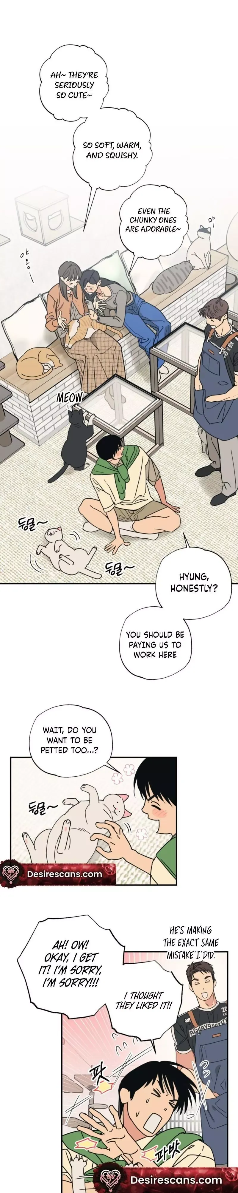 Read Purrfect Choice chapter 14 image 2 on Lezhin