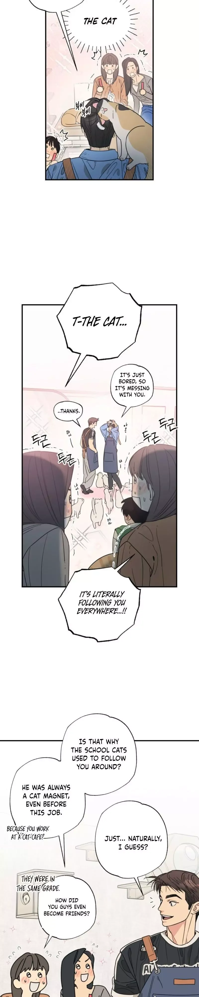 Read Purrfect Choice chapter 14 image 4 on Lezhin