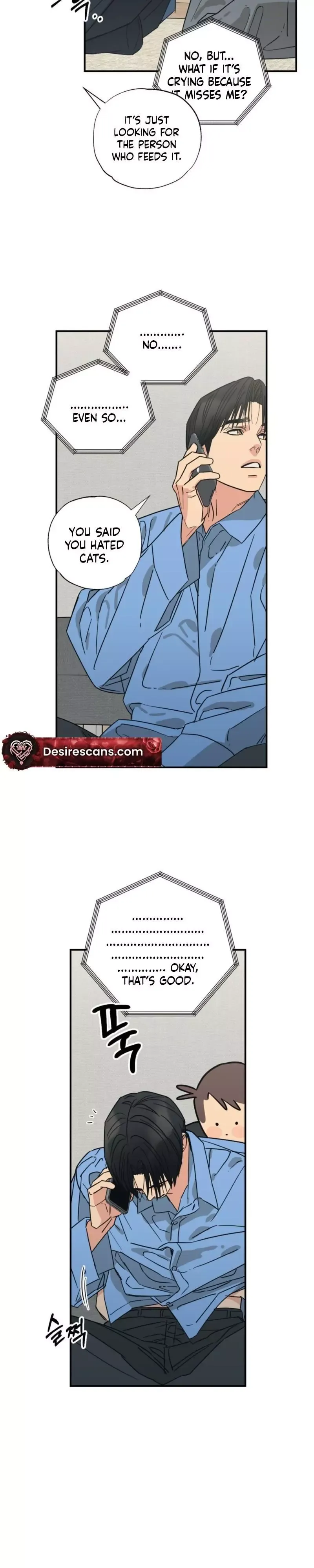 Read Purrfect Choice chapter 15 image 12 on Lezhin