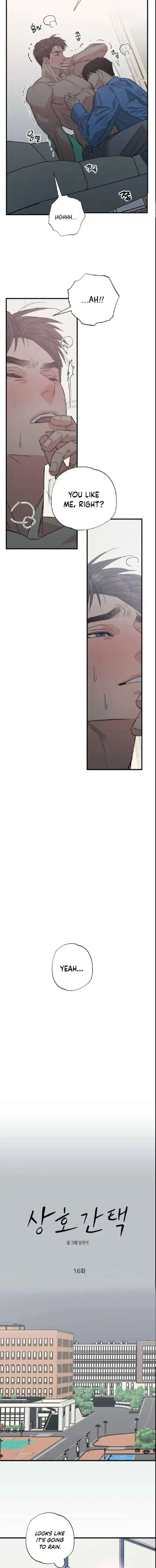 Read Purrfect Choice chapter 16 image 7 on Lezhin