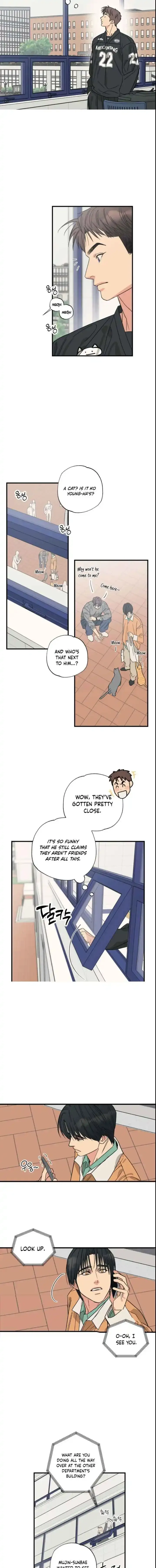 Read Purrfect Choice chapter 16 image 8 on Lezhin