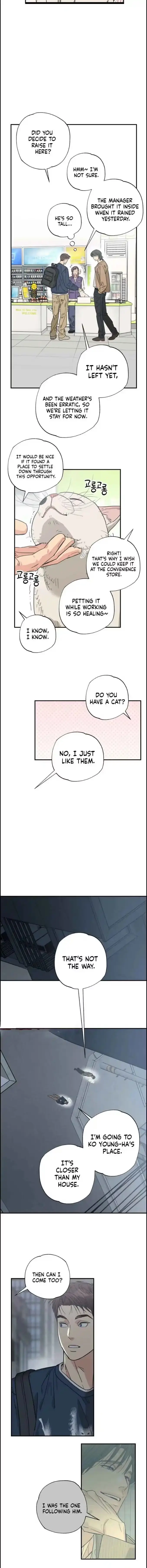 Read Purrfect Choice chapter 18 image 7 on Lezhin