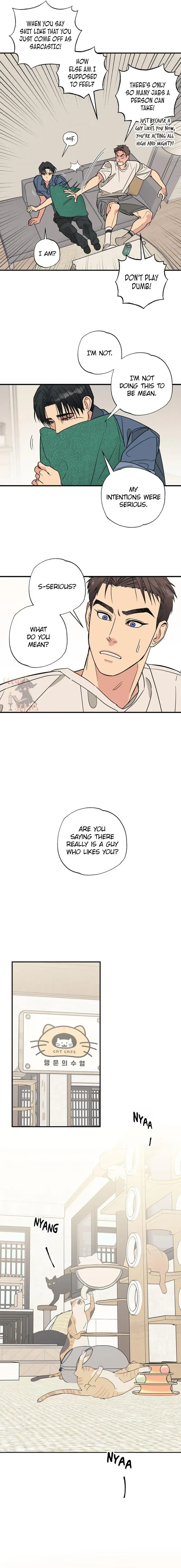 Read Purrfect Choice chapter 2 image 12 on Lezhin